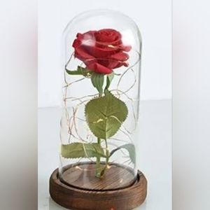 Red Silk Rose and Led Light